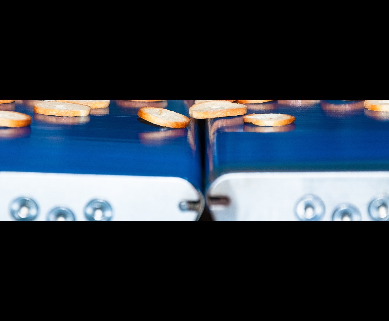 shutterstock_1484103188.jpg