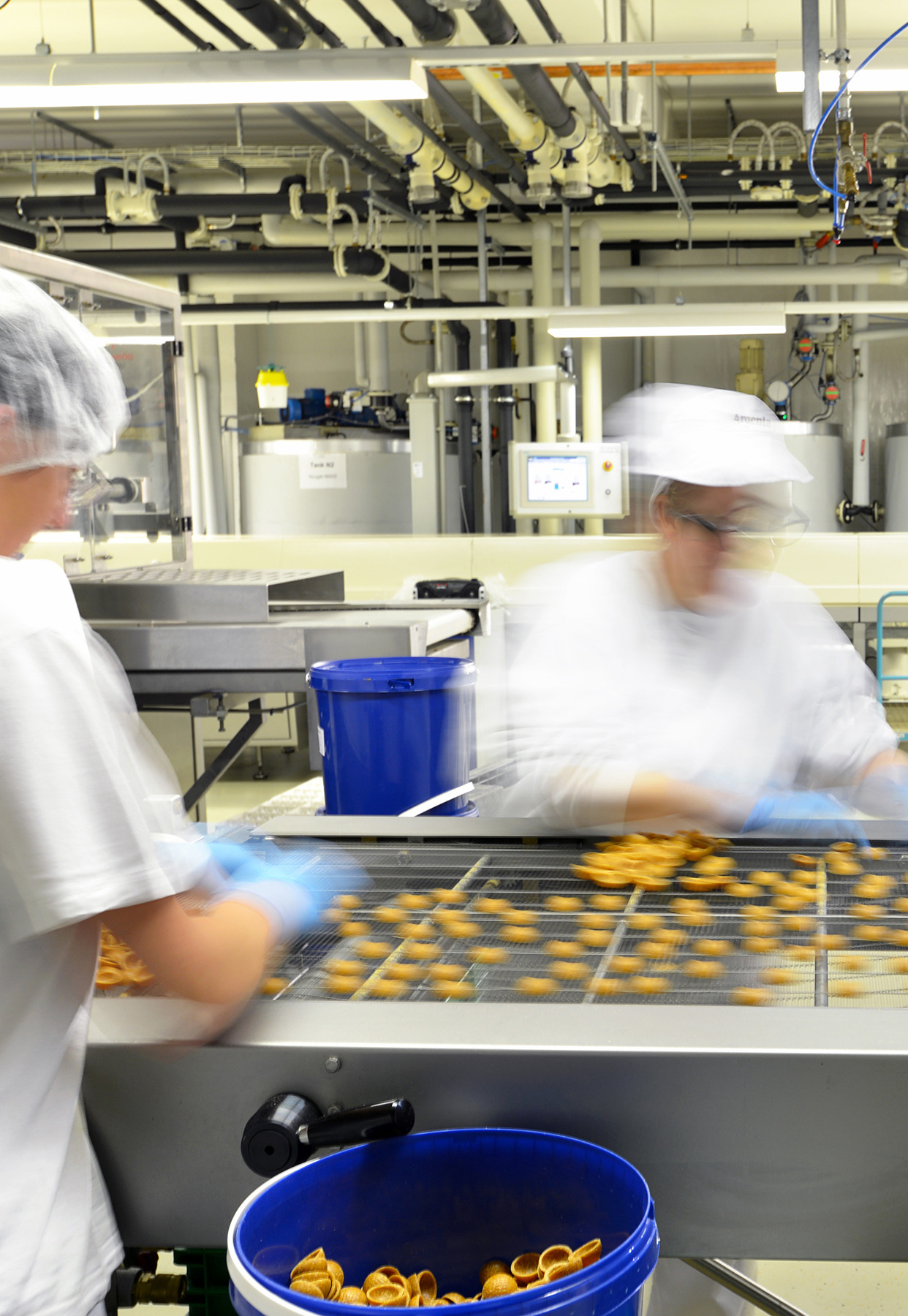 Conveyor Processing Belts for Food Beverage Habasit