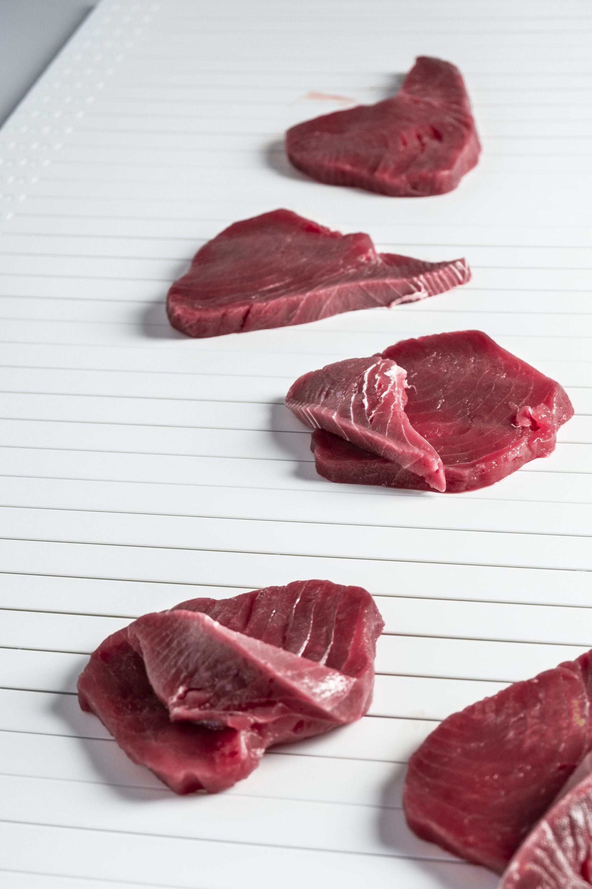 Habasit Super Hyclean