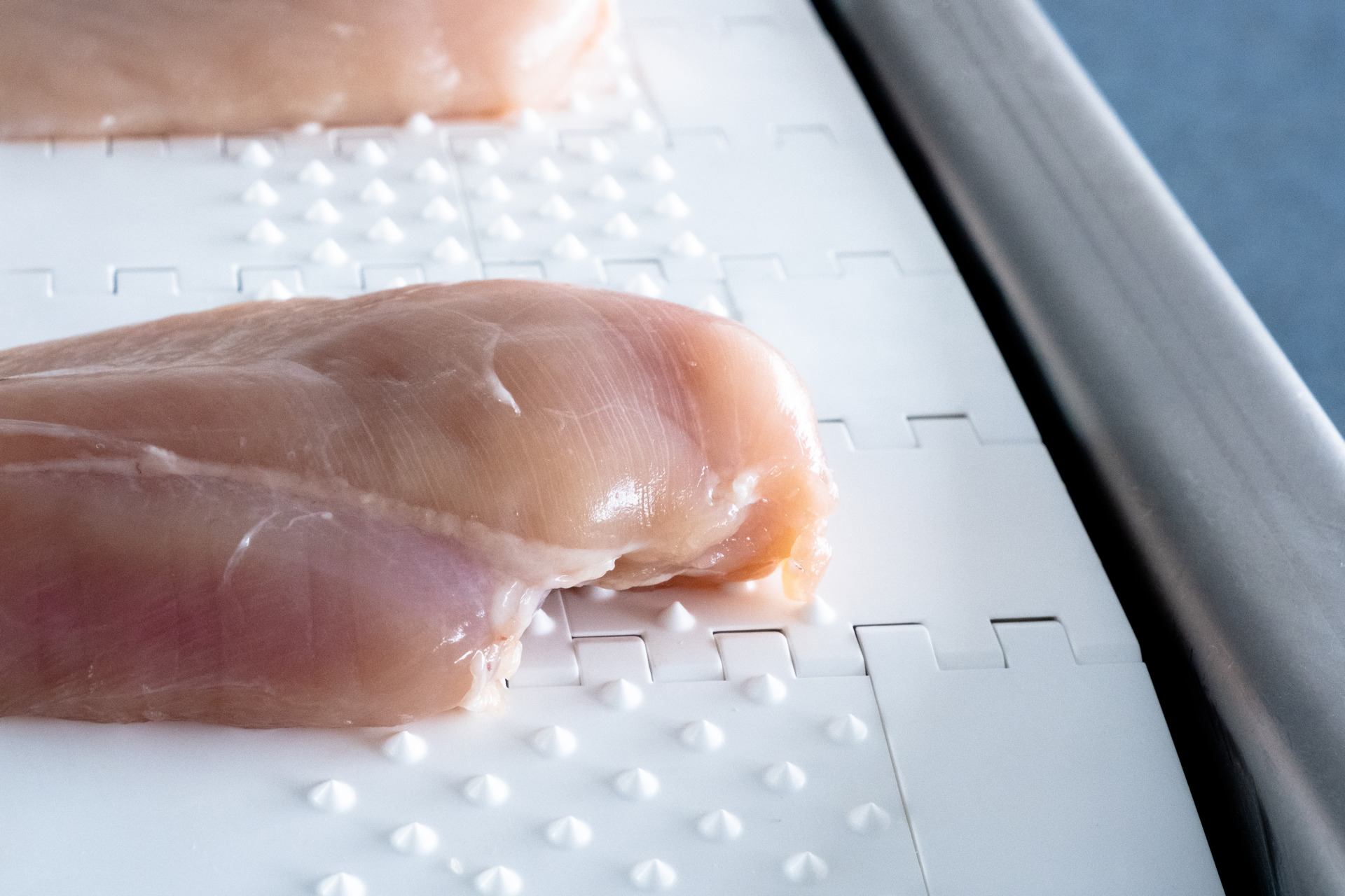 DSCF0791-Edit.jpg DSCF0791-Edit.jpg