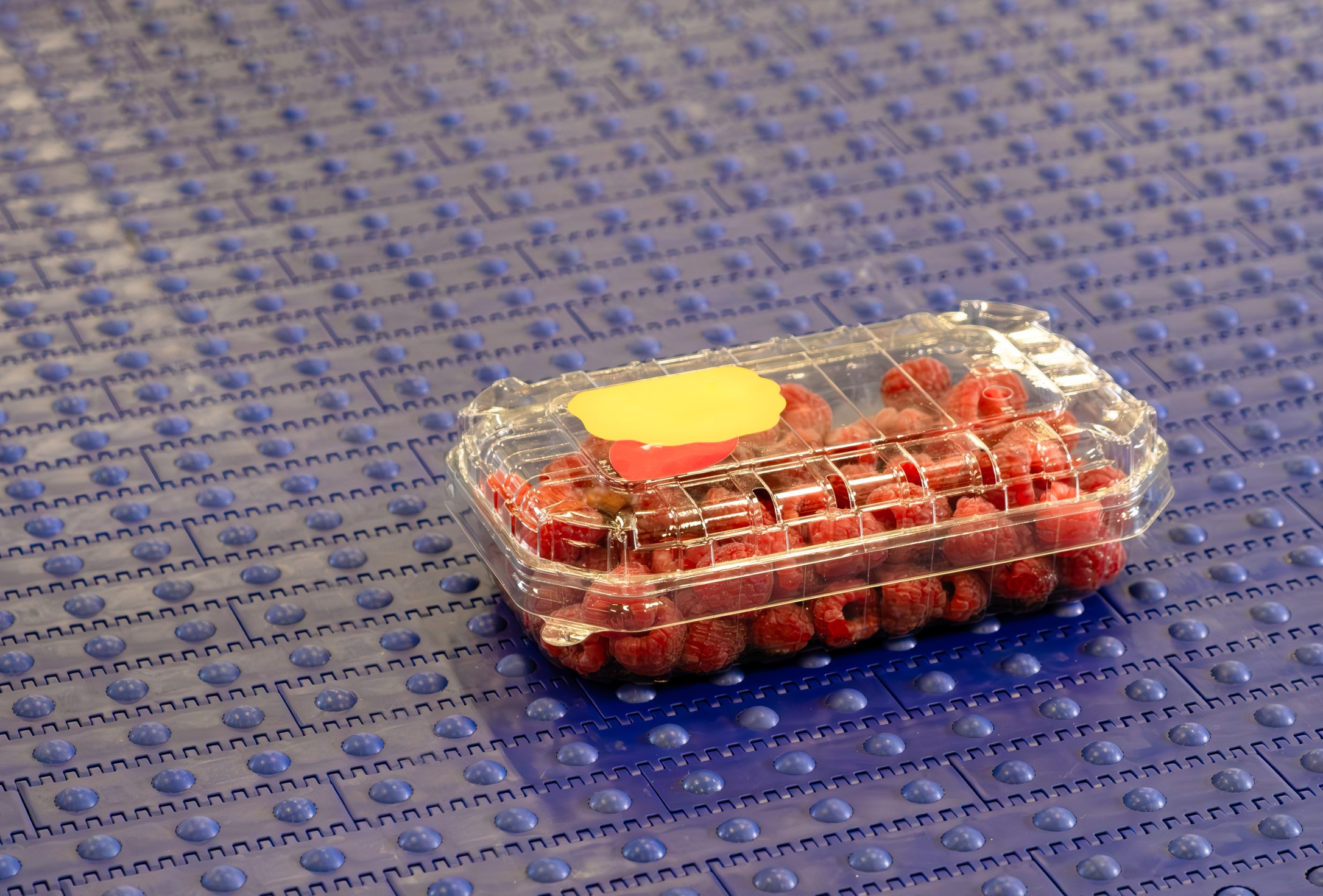 Pack Expo International 2026: Boost your packaging performance with Habasit