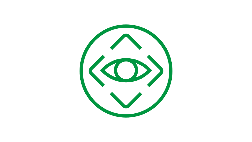 Optical sorting and inspection