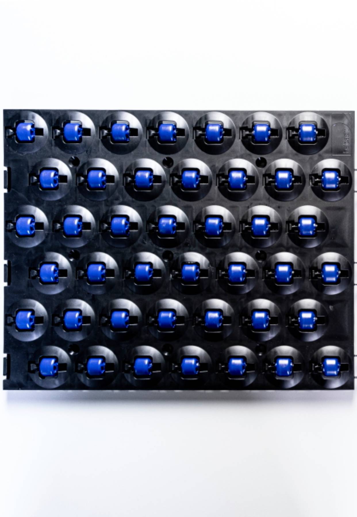 distribution center belt