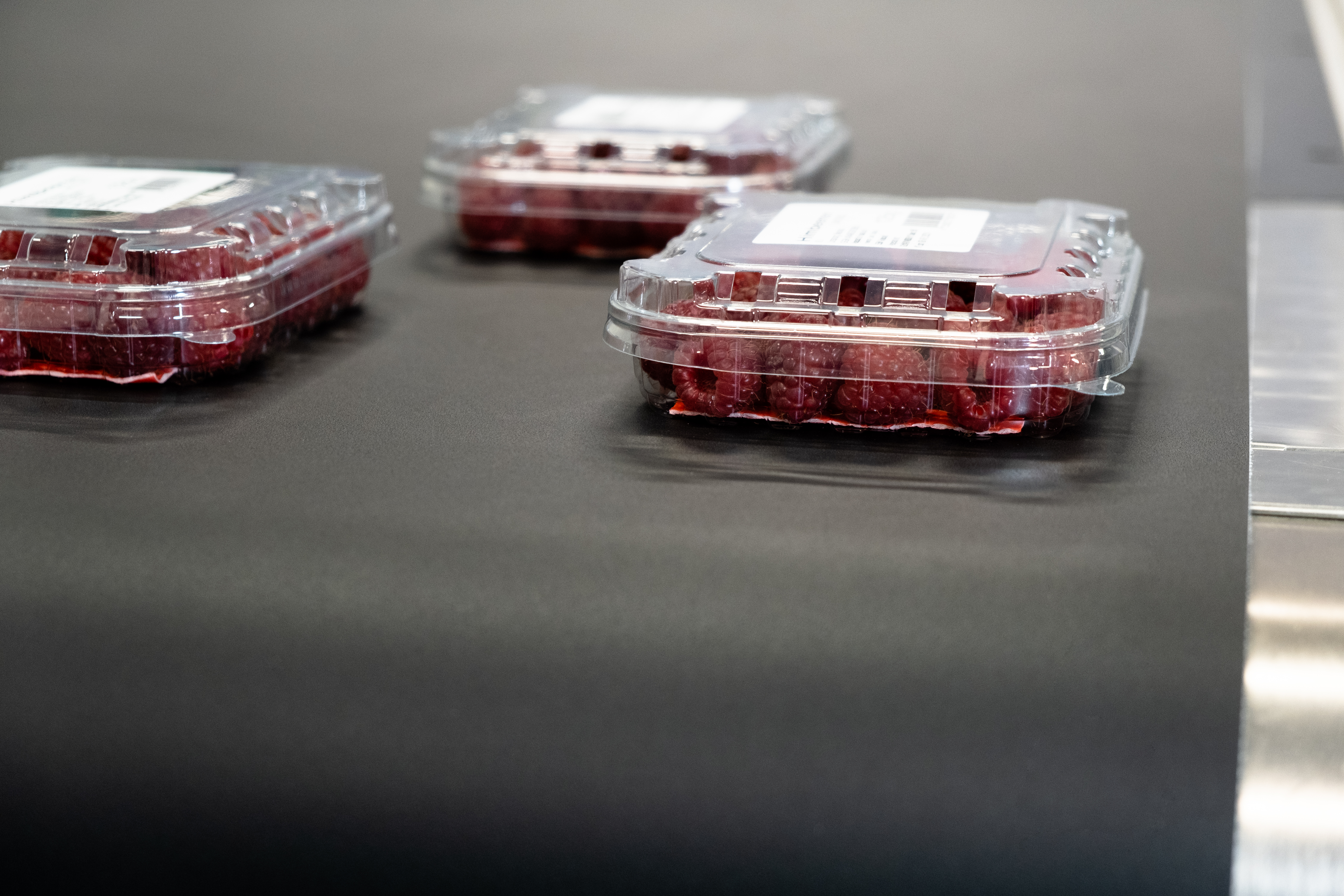 Fruit Packaging